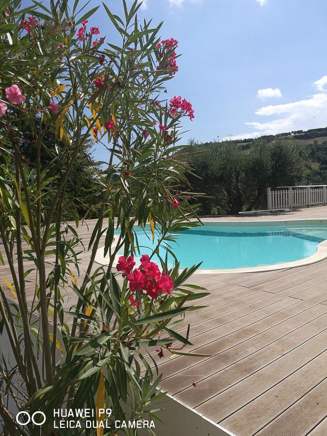 Country House "L'Isola Che Non C'E" Villa Ancona Dış mekan fotoğraf